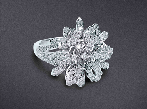 Marvella:为你封存最美的冬日之花