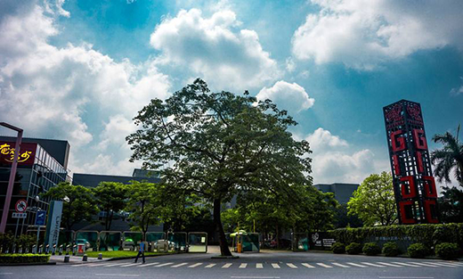 打造“设计顺德”,为高质量发展赋能